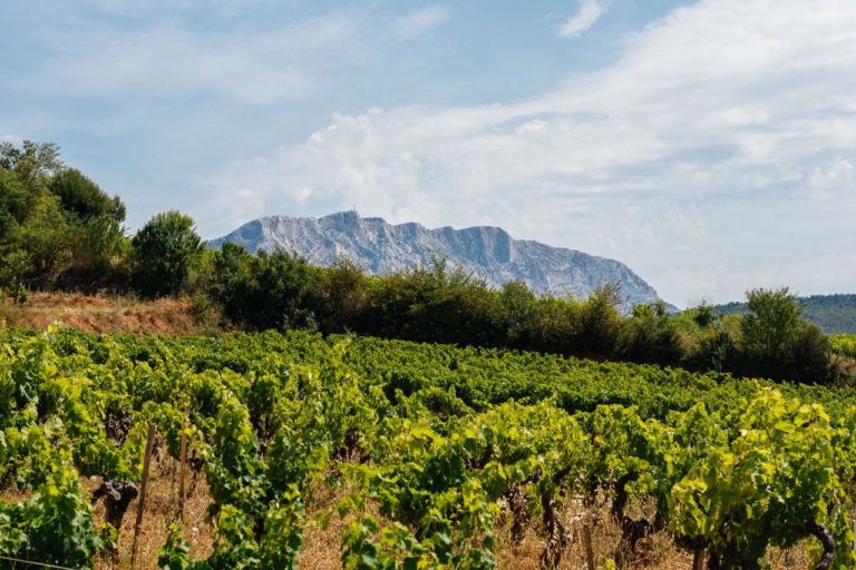 vineyard tours aix en provence